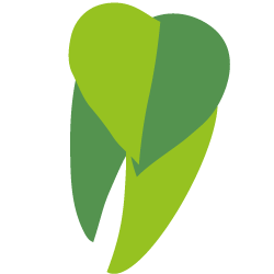 Logo der Einrichtung